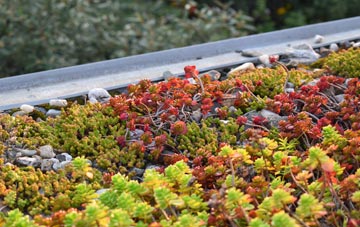 the cost of Brigflatts green roof installation