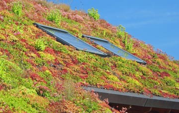 Brigflatts living roof systems