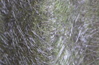 Brigflatts fibreglass roof work